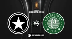 nhan dinh soi keo botafogo vs palmeiras 7h30 15 08