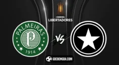 nhan dinh soi keo palmeiras vs botafogo 7h30 22 08