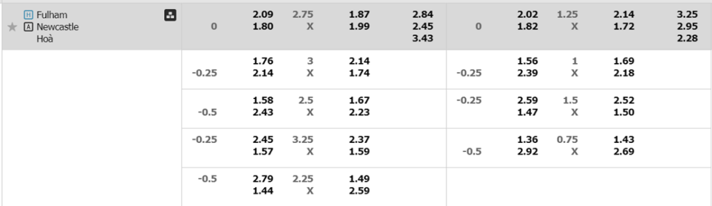 Soi kèo trận Fulham vs Newcastle