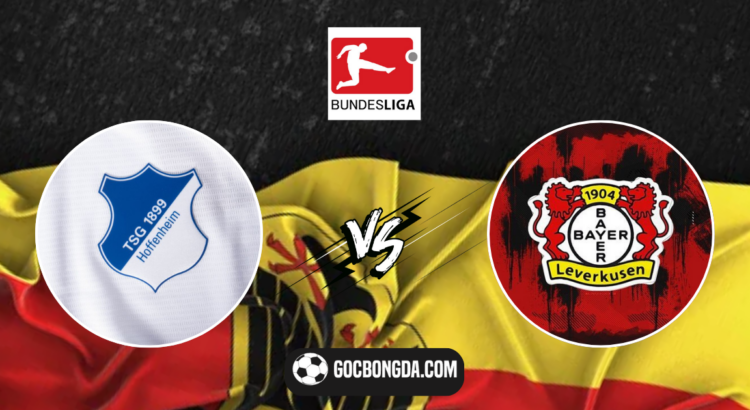 soi keo hoffenheim vs leverkusen vong 3 bundesliga 1