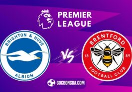 nhan dinh soi keo brighton vs brentford 2h30 28 12