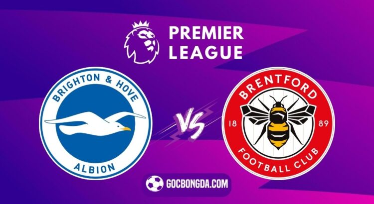 nhan dinh soi keo brighton vs brentford 2h30 28 12