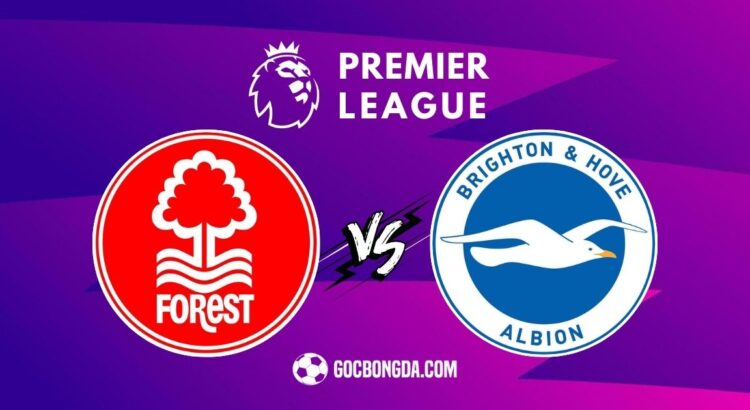 soi keo nottingham forest vs brighton 19h30 1 2