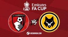 Nhận định, soi kèo Bournemouth vs Wolves 22h ngày 1/3