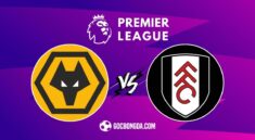 Nhận định, soi kèo Wolves vs Fulham 2h30 ngày 26/2