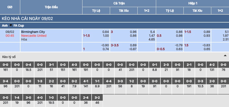 Soi kèo Birmingham City vs Newcastle