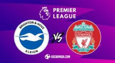 Nhận định, soi kèo Brighton vs Liverpool 2h ngày 20/5