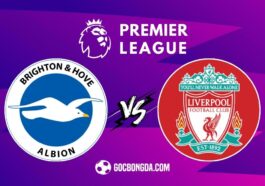 Nhận định, soi kèo Brighton vs Liverpool 2h ngày 20/5